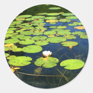 Lily pad stickers
