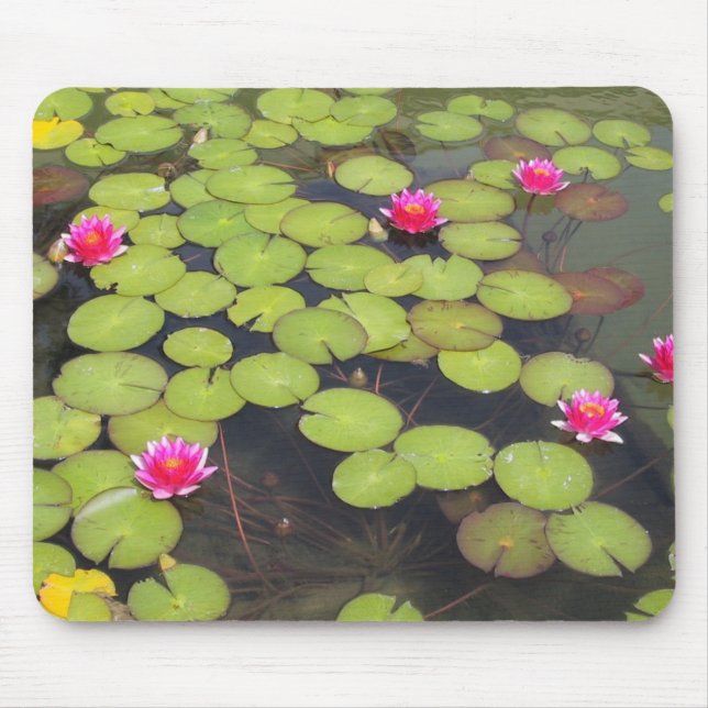 lily pad with pink flowers mouse pad (Front)