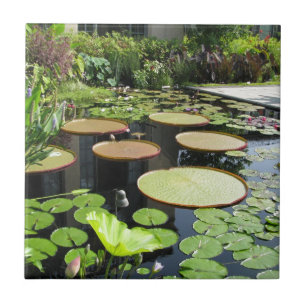 Lily Pads at Longwood Gardens Tile