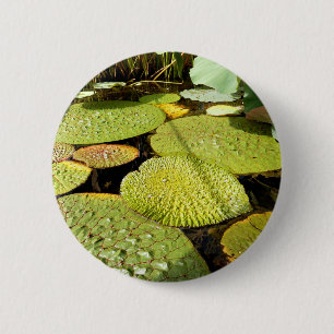 Lily Pads Badge
