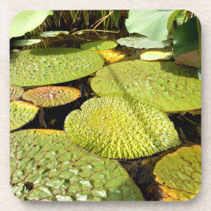 Lily Pads Hard Plastic Coaster