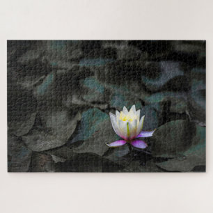 Lily Pads Jigsaw Puzzle