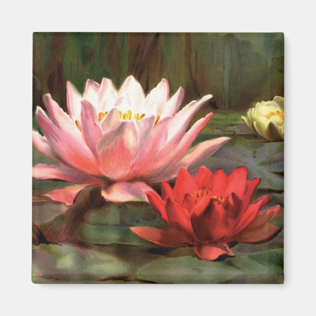 Lily Pads - Magnet (Front)