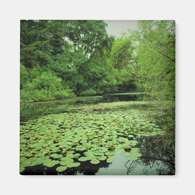 Lily Pads on the Pond Magnet (Front)