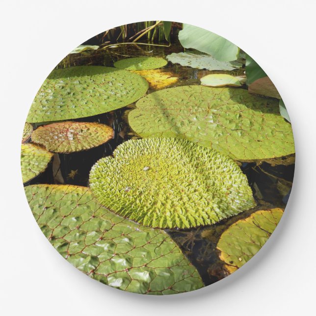 Lily Pads Paper Plate (Front)