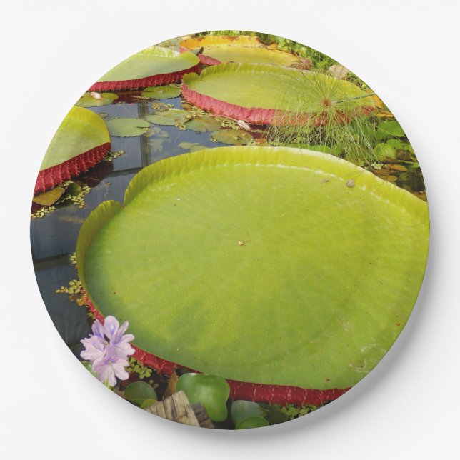 Lily Pads Paper Plate (Front)