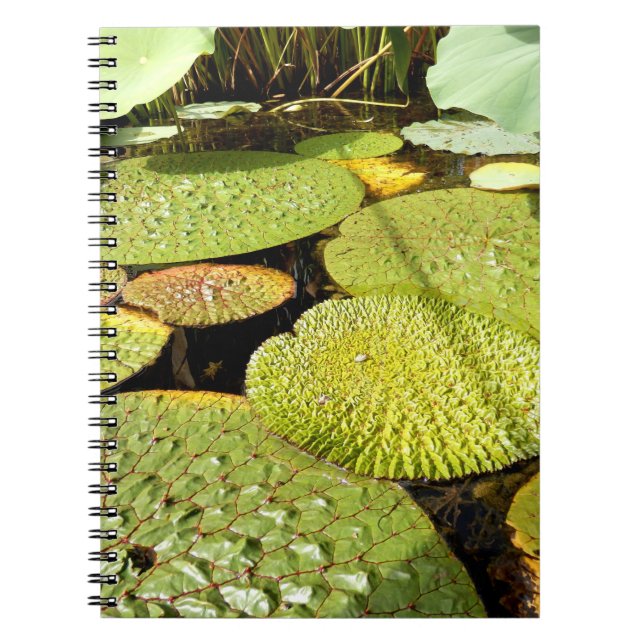 Lily Pads Photo Notebook (Front)