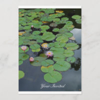 Lily Pads "Your Invited"