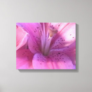 Lily Photograph Canvas Print