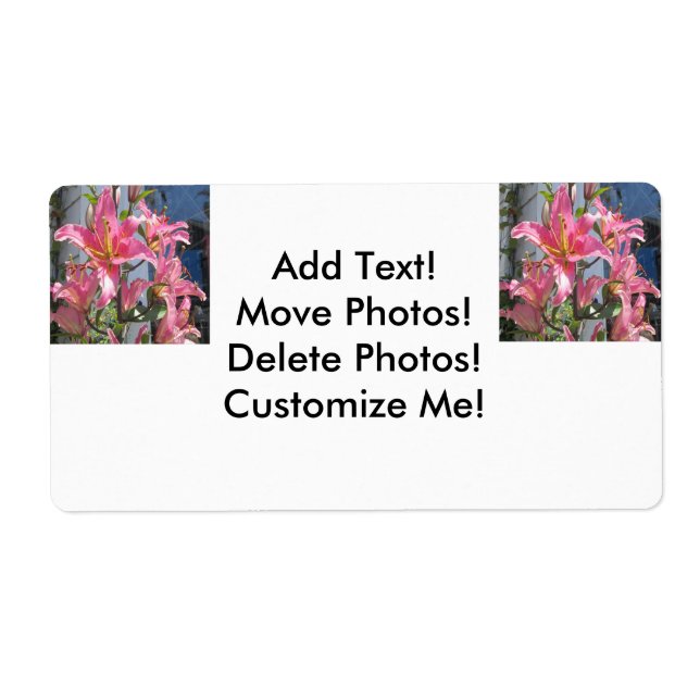 Lily Plant Outdoor Pink (Front)