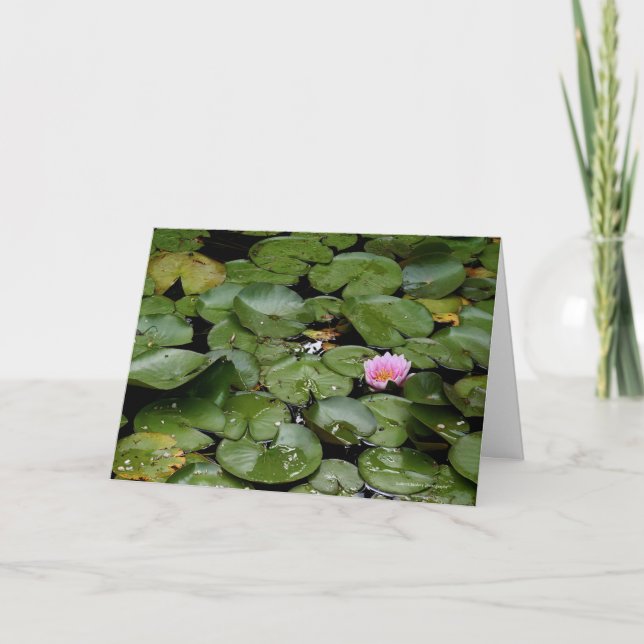 Lily Pond Note Card (Front)