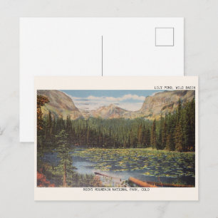 LILY POND WILD BASIN, COLORADO wild life gifts Postcard