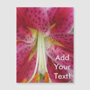 Lily Stargazer Purple Flower