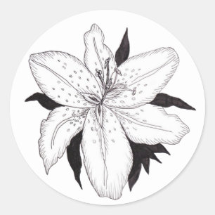 Lily Sticker