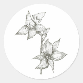 lily sticker