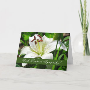 Lily Sympathy Greeting Card
