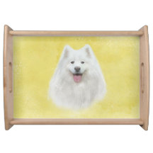 Lily the samoyed