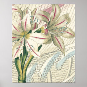 Lily with enlargement poster