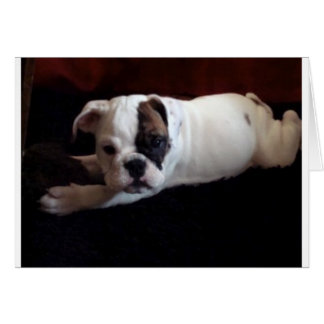 Lily with toy