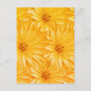 Lily yellow classy postcard