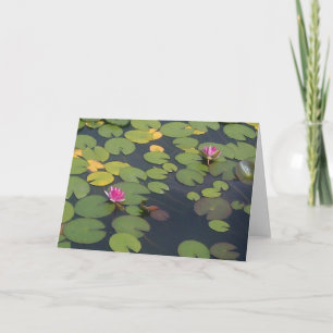 Lilypad Pond Painting  Card