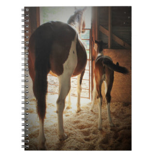 Lily's Love Spiral Notebook