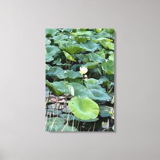 Lilyshade Silence 20 x30 Canvas Print