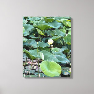 Lilyshade Silence  Canvas Print