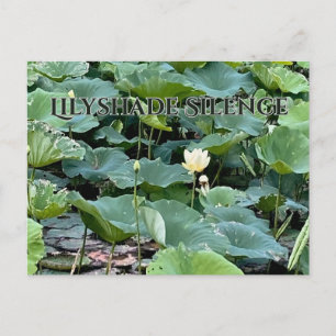 Lilyshade Silence  Postcard