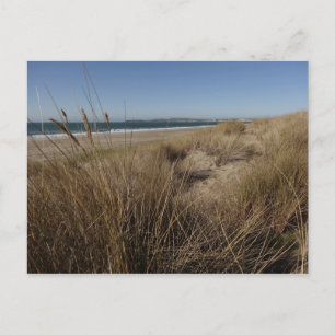 Limantour Beach at Point Reyes II Postcard
