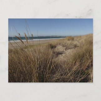 Limantour Beach at Point Reyes II Postcard