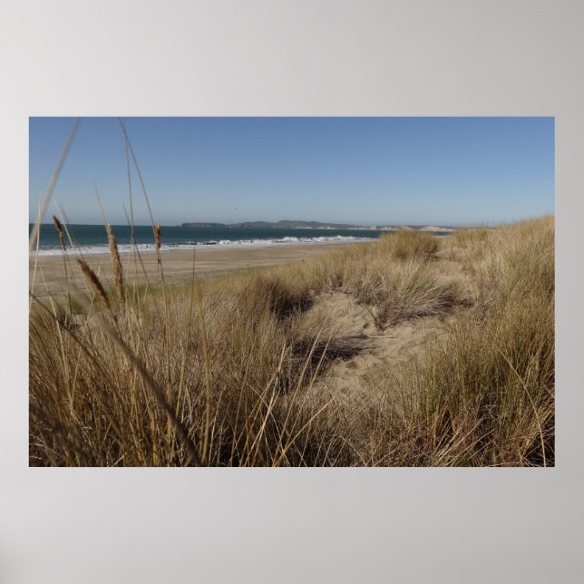 Limantour Beach at Point Reyes II Poster (Front)