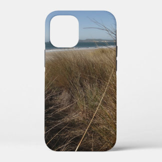 Limantour Beach at Point Reyes National Seashore I iPhone 12 Mini Case