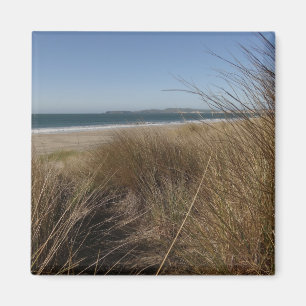 Limantour Beach at Point Reyes National Seashore I Magnet