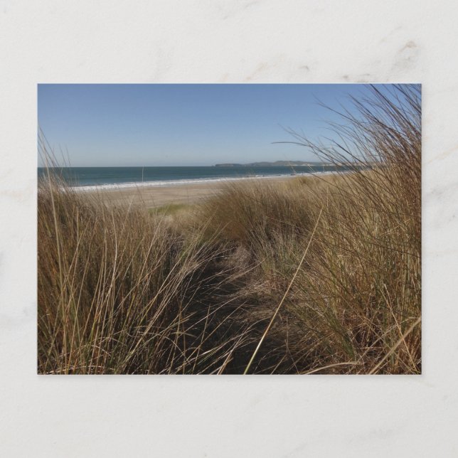 Limantour Beach at Point Reyes National Seashore I Postcard (Front)
