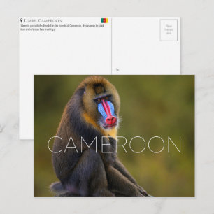 Limbe Wildlife, Cameroon Travel Postcard