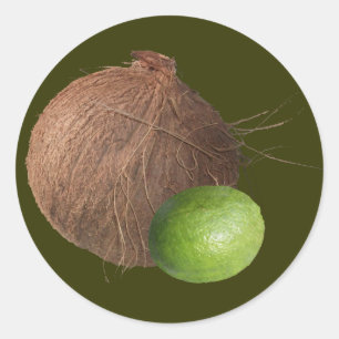 Lime and Coconut Classic Round Sticker