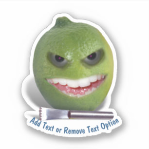 Lime and Lemon Zester
