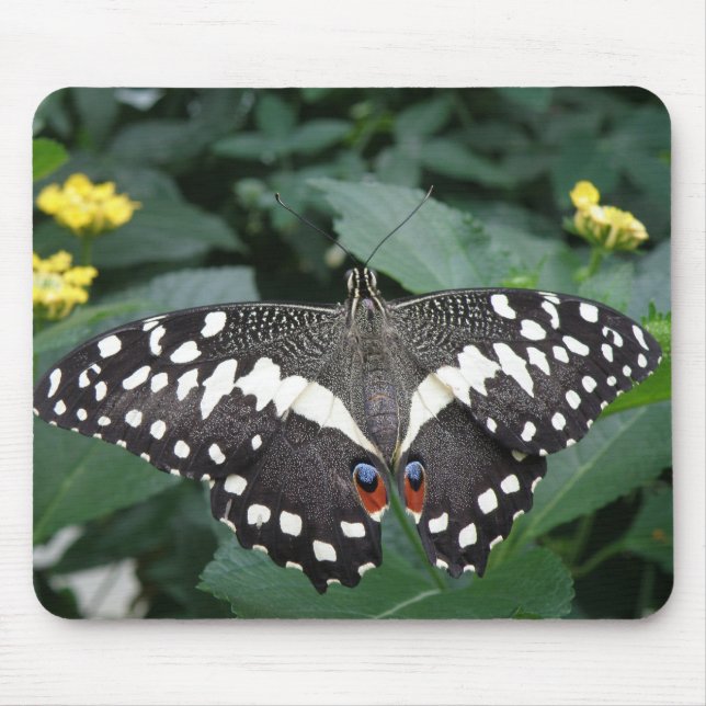 Lime Butterfly and flowers Mousepad (Front)