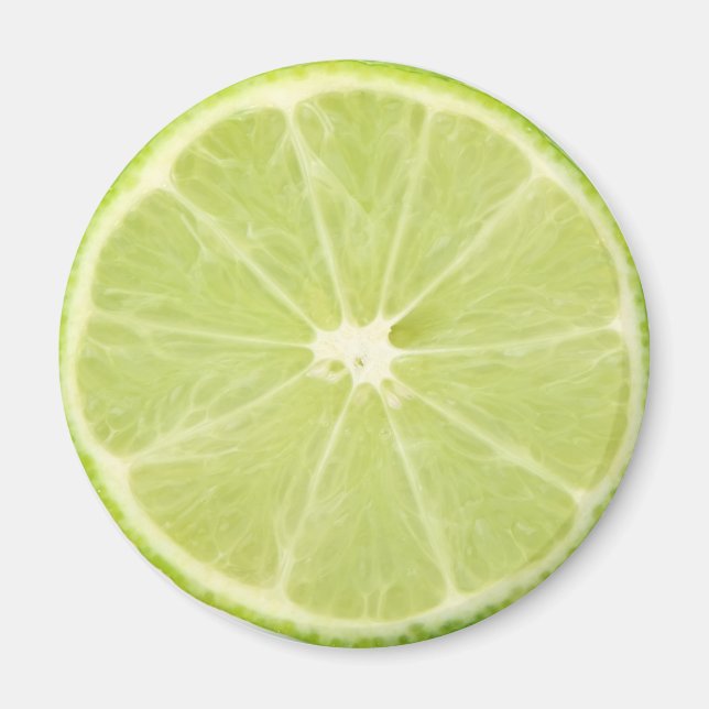 Lime Fruit Fresh Slice Magnet (Front)