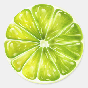 Lime Fruit Slice Classic Round Sticker