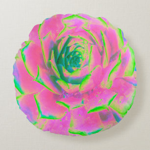 Lime Green and Pink Succulent Sedum Rosette Round Cushion