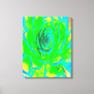 Lime Green Chartreuse Succulent Sedum Rosette Canvas Print