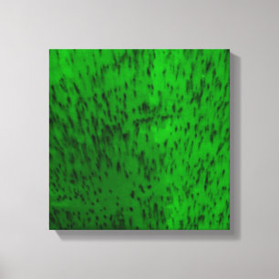 Lime Green Earthenware Canvas Print