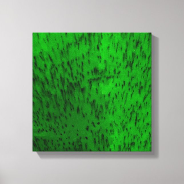 Lime Green Earthenware Canvas Print (Front)