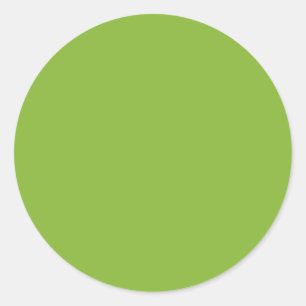 LIME GREEN V2 Pop of Colour You Personalise Classic Round Sticker