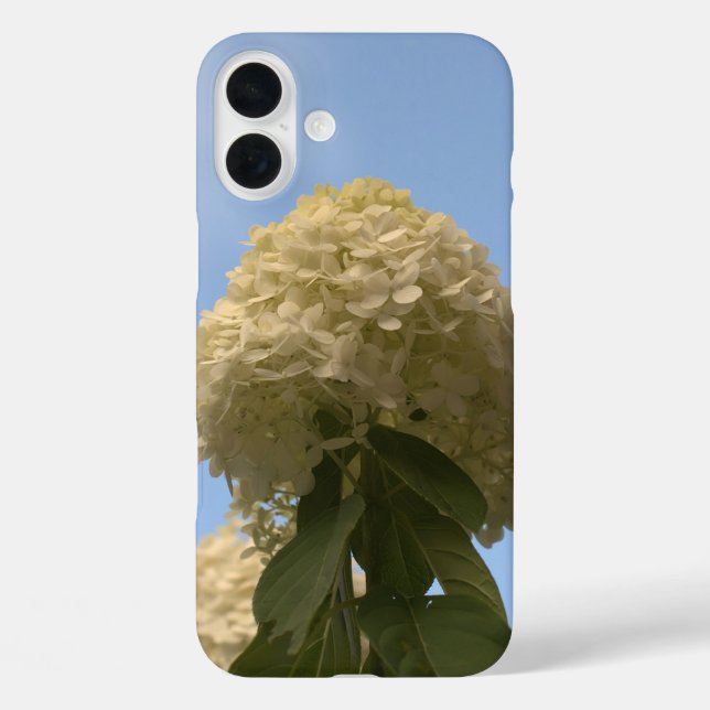 Lime Hydrangea Flowers Blue Sky Case-Mate iPhone Case (Back)