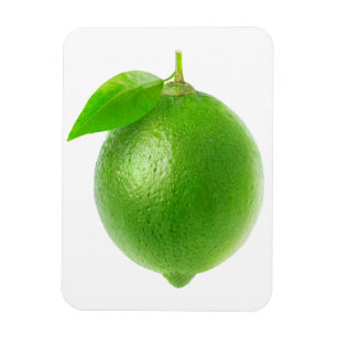 Lime Magnet