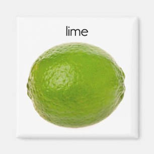 Lime Refrigerator Magnet