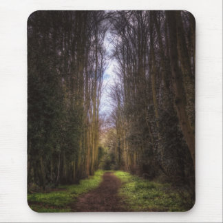 Lime Tree Path Mouse Pad